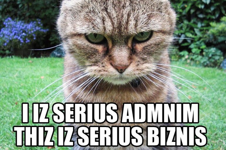 administrator lolcat